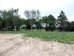 Mixed-Use Land for Sale in Mabank, Texas